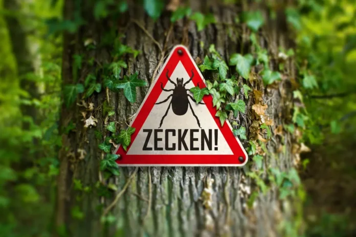 Die FSME-Impfung wirkt, aber die Impfbereitschaft lässt nach in Österreich.