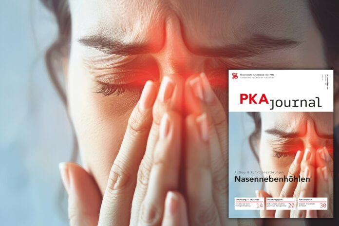 PKAjournal 10/2025: jetzt erschienen