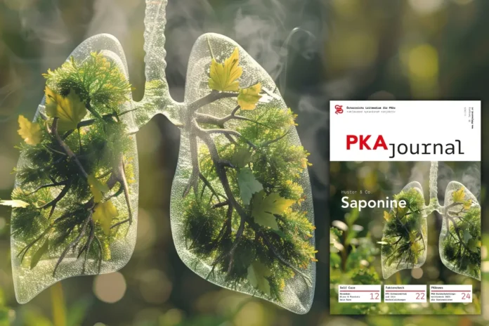 PKAjournal 11/2025: jetzt erschienen