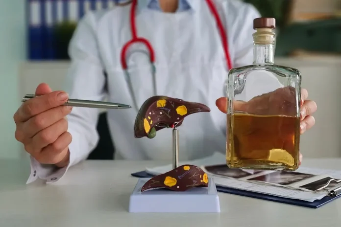 Ärztin mit Stethoskop zeigt auf ein Lebermodell mit Krankheitsmarkierungen, daneben steht eine Flasche Alkohol auf dem Tisch.