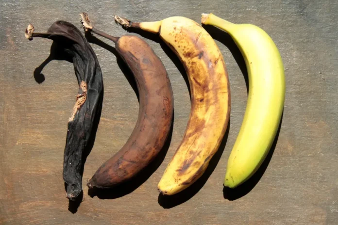 Vier Bananen in unterschiedlichen Reifestadien liegen nebeneinander auf einer Holzoberfläche – von schwarz über braun und gelb-braun bis grün.