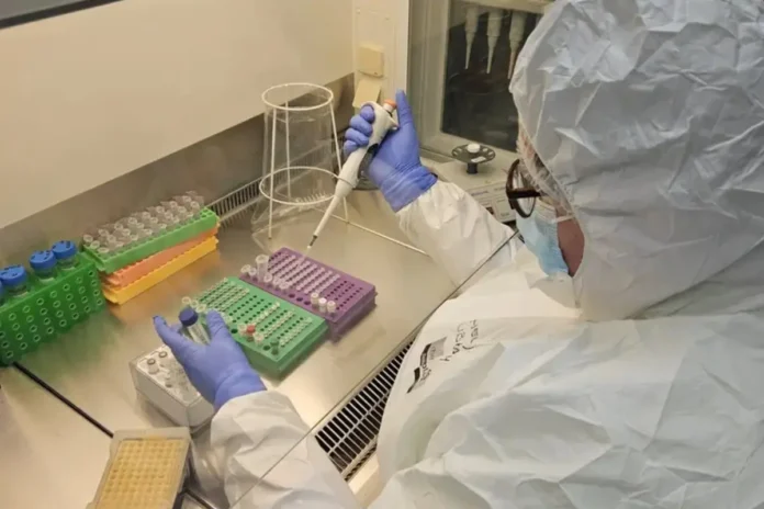 Person in Schutzanzug pipettiert Proben unter einer Labor-Sicherheitswerkbank; auf dem Labortisch stehen Reagenzracks und Laborgeräte.