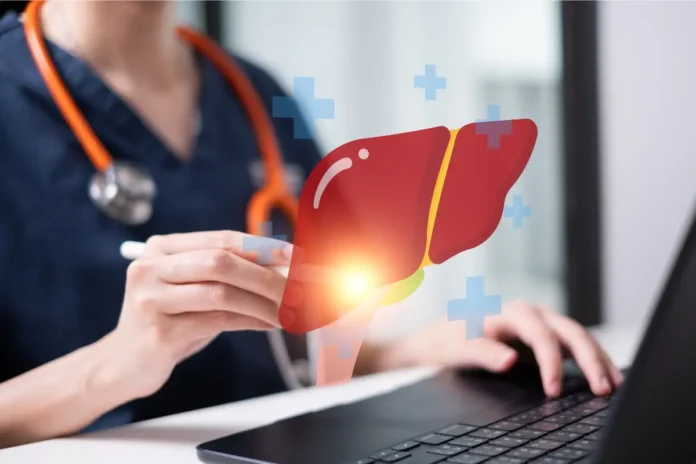 Medizinisches Fachpersonal arbeitet am Laptop, daneben eine digitale Illustration einer Leber als Symbol für Leberdiagnostik oder -behandlung.