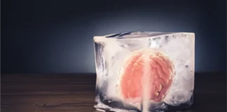 Ein menschliches Gehirn ist in einem großen, schmelzenden Eiswürfel auf einem Holztisch eingeschlossen.