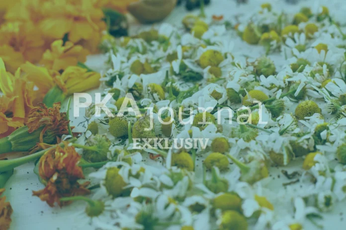 Getrocknete Kamillenblüten und Ringelblumen als traditionelle Hausmittel – bei Augenentzündungen jedoch mit Vorsicht zu genießen.