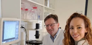 Prof. Dr. Tobias Pukrop und Dr. Raquel Blazquez konnten beweisen, dass sich bestimmte Metastasen innerhalb eines Organs weiter ausbreiten können.