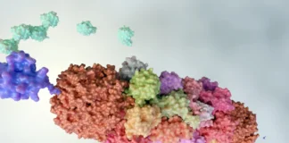 3D-Darstellung eines Proteinkomplexes als Zielstruktur für Protease- und Kinase-Inhibitoren in der modernen Pharmakotherapie