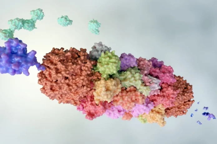 3D-Darstellung eines Proteinkomplexes als Zielstruktur für Protease- und Kinase-Inhibitoren in der modernen Pharmakotherapie