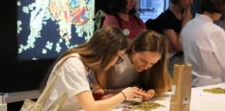 Besucherinnen analysieren Teebestandteile bei einer Mitmachstation im Apothekerlabor