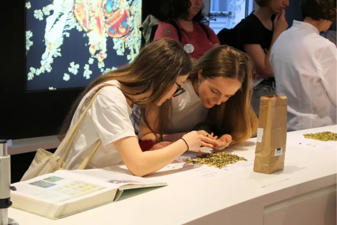 Besucherinnen analysieren Teebestandteile bei einer Mitmachstation im Apothekerlabor