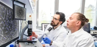 Dr. Maximilian Binter und Dr. Heiko Fuchs untersuchen Augen-Bindegewebszellen für ein neues Glaukom-Implantat.