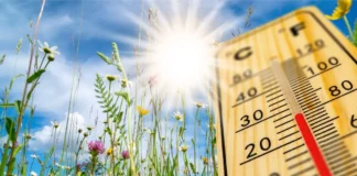 Thermometer bei sommerlicher Hitze auf einer Wiese in Österreich