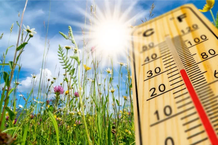 Thermometer bei sommerlicher Hitze auf einer Wiese in Österreich