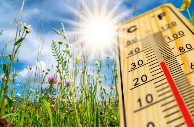 Thermometer bei sommerlicher Hitze auf einer Wiese in Österreich