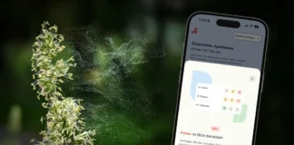 Smartphone mit ApoApp und aktuellem Pollenflug während der Gräserpollensaison