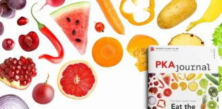 Titelbild der Ausgabe PKAjournal 6/2026 mit verschiedenen Obst- und Gemüsesorten zum Schwerpunktthema Ernährung und „Eat the rainbow!“