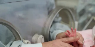 Frühgeborenes in einem Inkubator auf einer Neonatalstation mit der Hand einer Betreuungsperson.