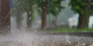 Starker Regen während eines Sommergewitters. Bei solchen Wetterlagen kann das Risiko für Gewitterasthma bei Menschen mit Pollenallergie steigen.