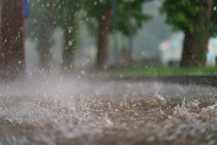Starker Regen während eines Sommergewitters. Bei solchen Wetterlagen kann das Risiko für Gewitterasthma bei Menschen mit Pollenallergie steigen.