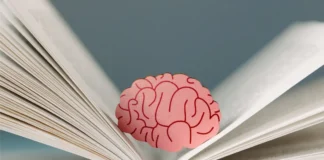 Stilisiertes Gehirn auf einem geöffneten Buch als Symbol für den World Brain Day und die Bedeutung der Gehirngesundheit.