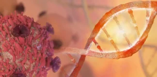 DNA-Doppelhelix und Krebszelle als Symbol für familiären Brust- und Eierstockkrebs