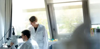 Forschende untersuchen Hirngewebe im Rahmen einer Studie zur Ketamin-Narkose