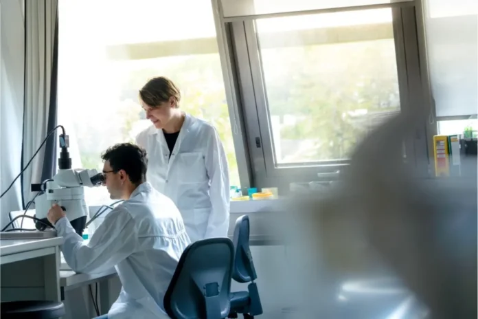Forschende untersuchen Hirngewebe im Rahmen einer Studie zur Ketamin-Narkose