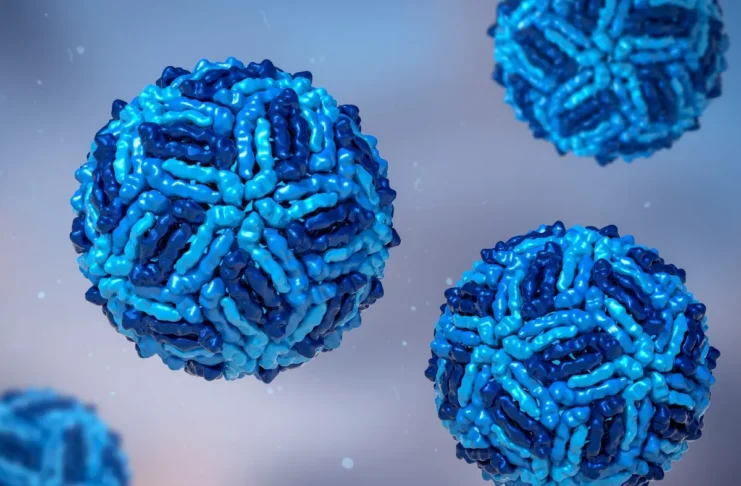 West-Nil-Virus – Darstellung von Viruspartikeln