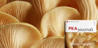 PKAjournal mit Titelthema Fancy Funghi – PKAjournalcover vor einer Nahaufnahme von Pilzen
