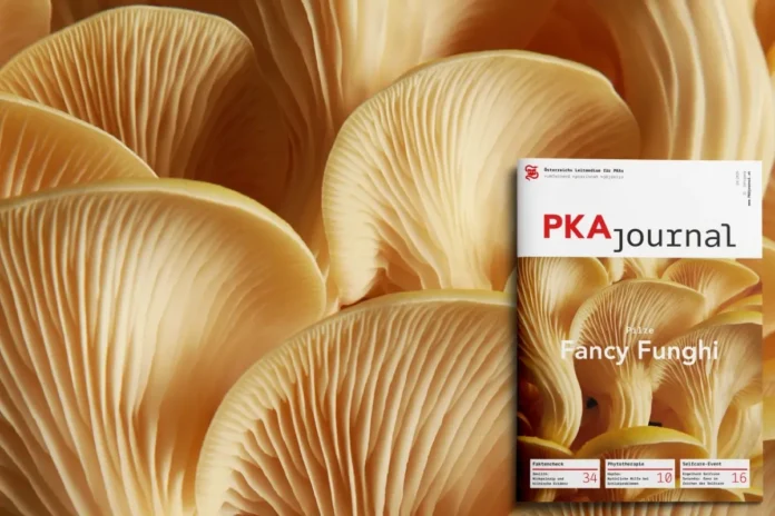 PKAjournal mit Titelthema Fancy Funghi – PKAjournalcover vor einer Nahaufnahme von Pilzen