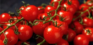 Rote Cocktailtomaten an Rispen – die AGES warnt vor Salmonellen in Cocktailtomaten aus zwei Regionen Siziliens.