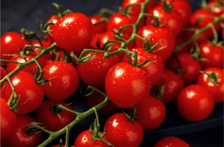 Rote Cocktailtomaten an Rispen – die AGES warnt vor Salmonellen in Cocktailtomaten aus zwei Regionen Siziliens.